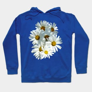 Daisies in Sunshine Hoodie